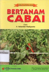 Bertanam Cabai