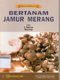 Bertanam Jamur Merang