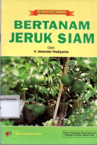 Bertanam Jeruk Siam