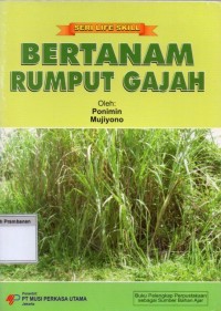 Bertanam Rumput Gajah