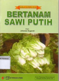 Bertanam Sawi Putih