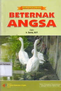 Beternak Angsa