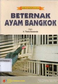 Beternak Ayam Bangkok