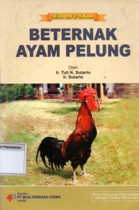 Beternak Ayam Pelung