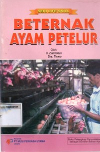 Beternak Ayam Petelur