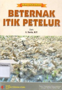 Beternak Itik Petelur