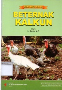 Beternak Kalkun