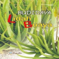 Budidaya Lidah Buaya