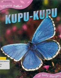 Kupu-Kupu