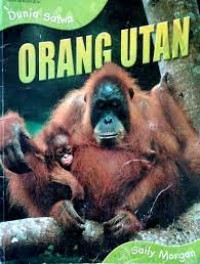 Orang Utan